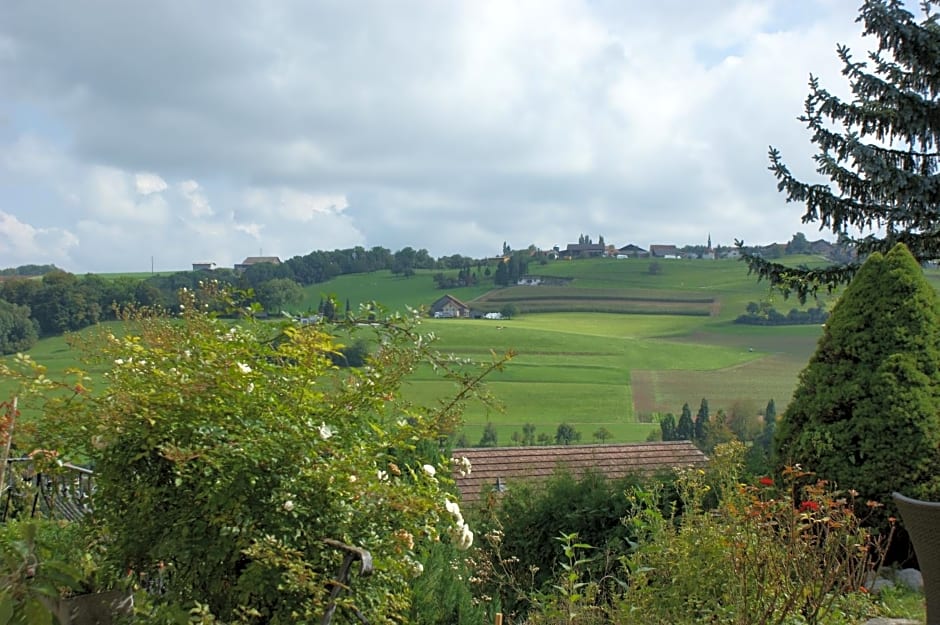 Ferienwohnung und B&B Chasa Janett