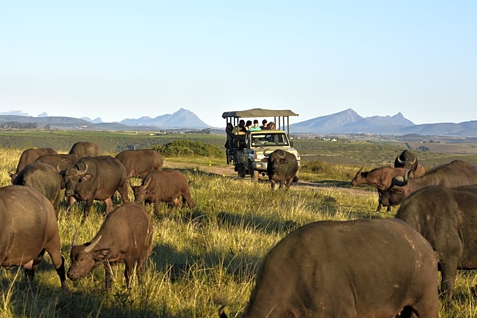 Botlierskop Private Game Reserve