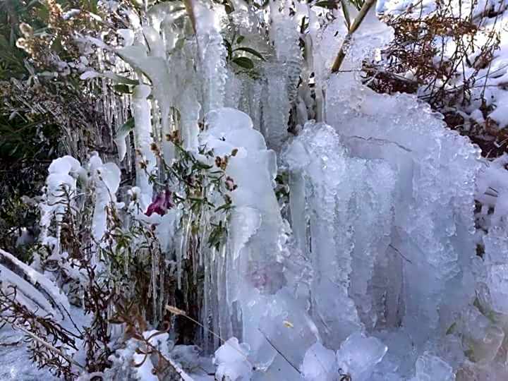 Mountain Rose Hotel & Restaurant