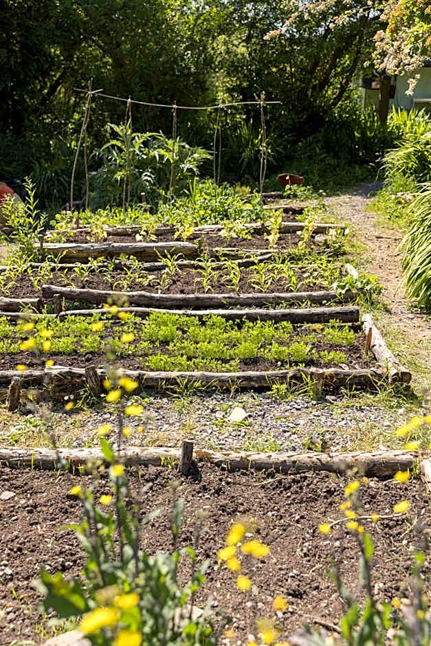 The Common Knowledge Centre