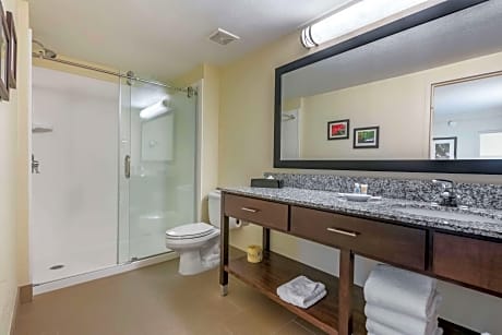 One-Bedroom King Suite with Two Bathrooms - Accessible