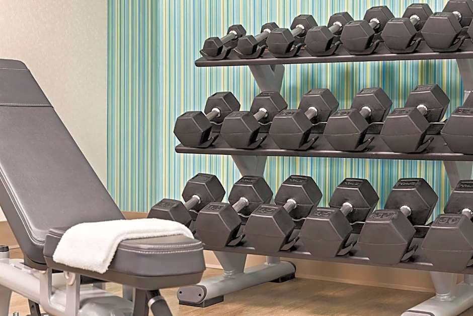 Holiday Inn Express & Suites Greenville-Downtown by IHG
