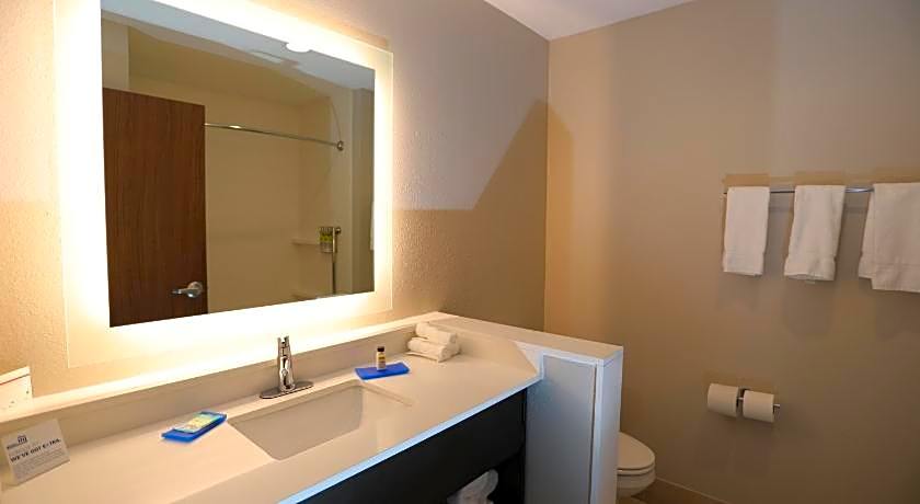 Holiday Inn Express And Suites Forney By IHG