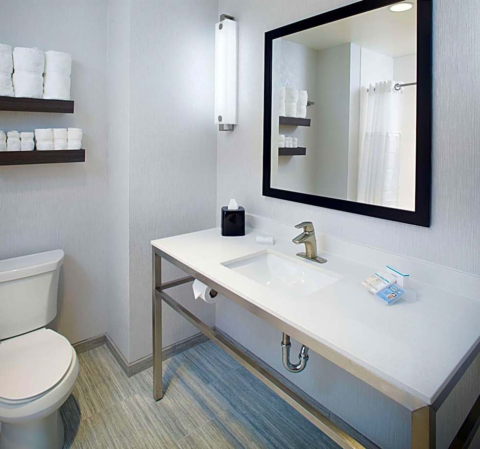 Hilton Garden Inn Dallas/Arlington South