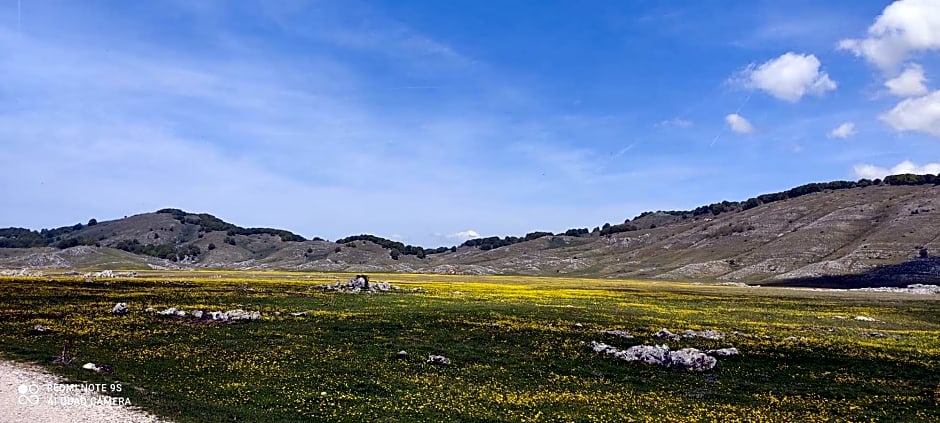 La Stella Danzante B&B