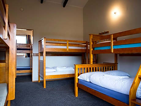 Standard Unit (Large)