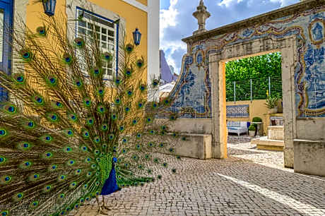 Solar do Castelo - Lisbon Heritage Collection