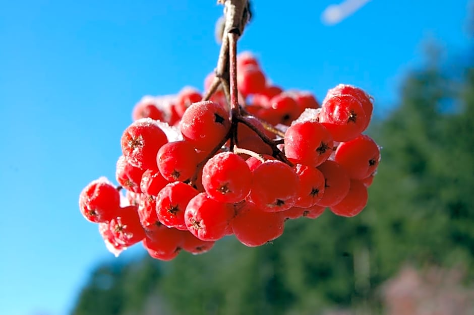 Rifugio Casello Margherita