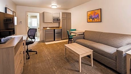 Suite-1 King Bed, Non-Smoking, Business Plus Room, Two Televisions, High Speed Internet Access, Micr