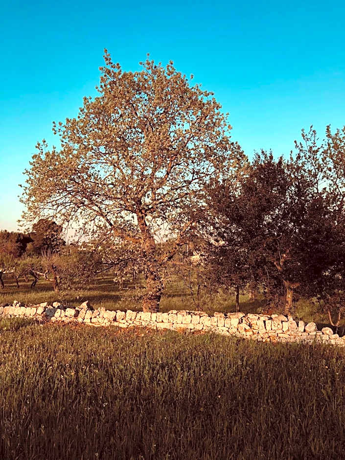 Masseria Fenicia