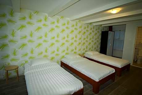 Triple Room with Private Bathroom