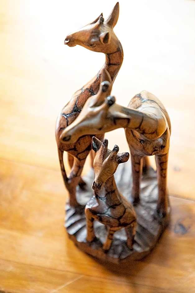 Zebra Lodge