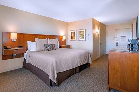 ADA Deluxe Room - 1 King Bed
