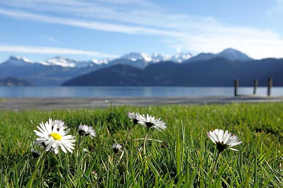 Seminar-Hotel Rigi am See