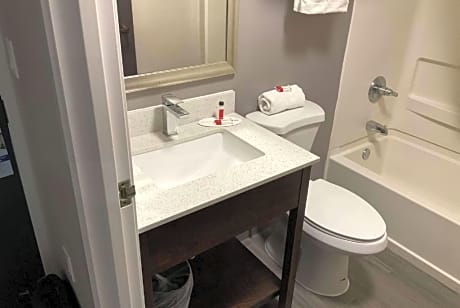 1 King Bed Mobility Accessible Studio Suite Non-Smoking