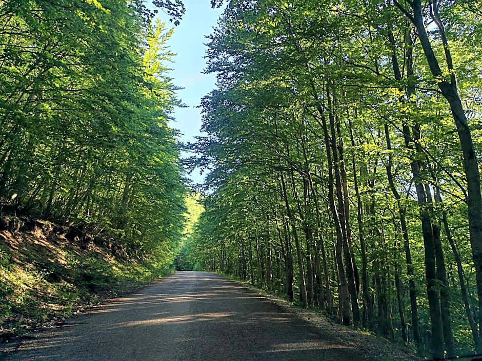 La Locanda del Voltigno