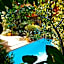 BE Jardin Escondido By Coppola