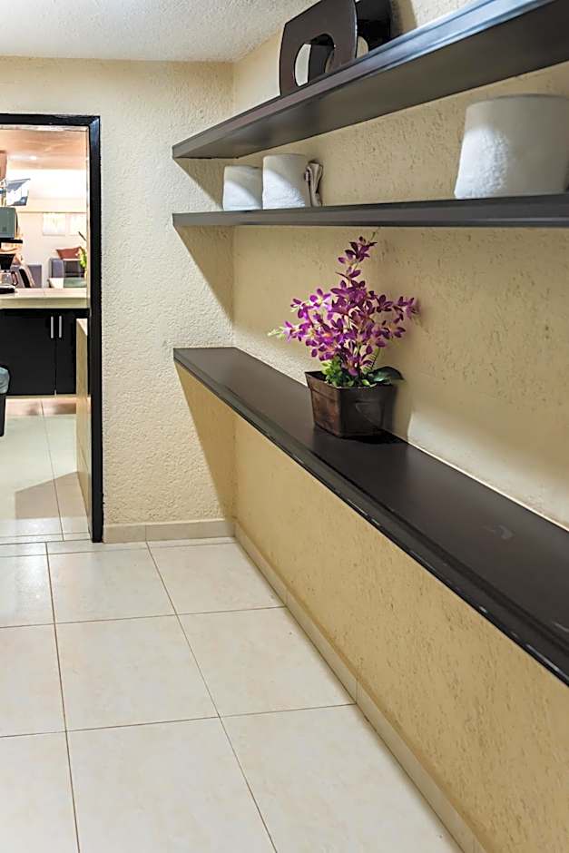 Hotel & Suites Domani