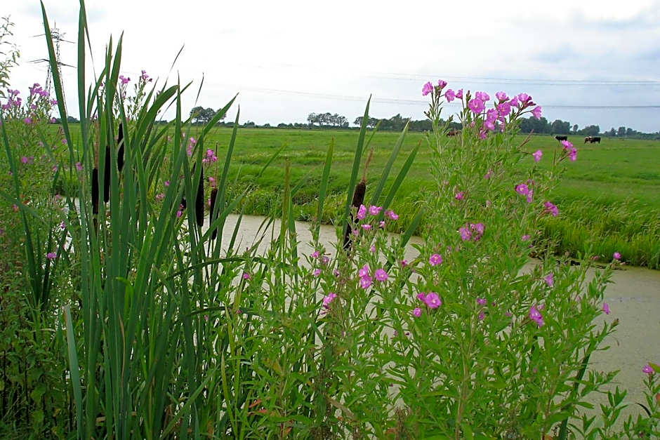Boerderij Hazenveld