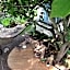 Bondy House Bed & Breakfast
