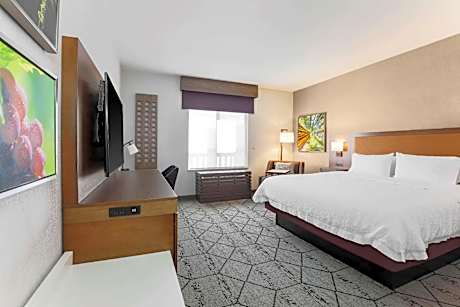 King Room with King Bed - Non-Smoking