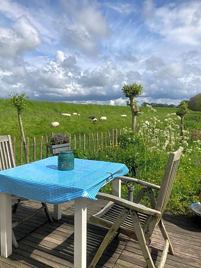 Rosa's zonnige huisje bij duinen bos en strand