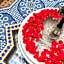 Riad bleu du Sud