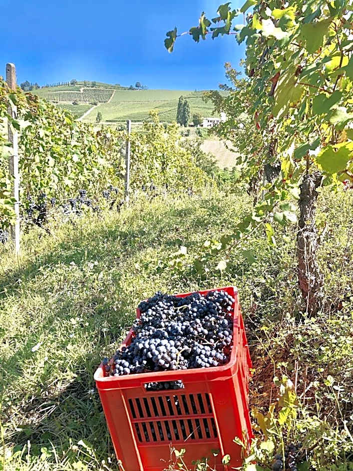 Cascina Bellonuovo - Agriturismo