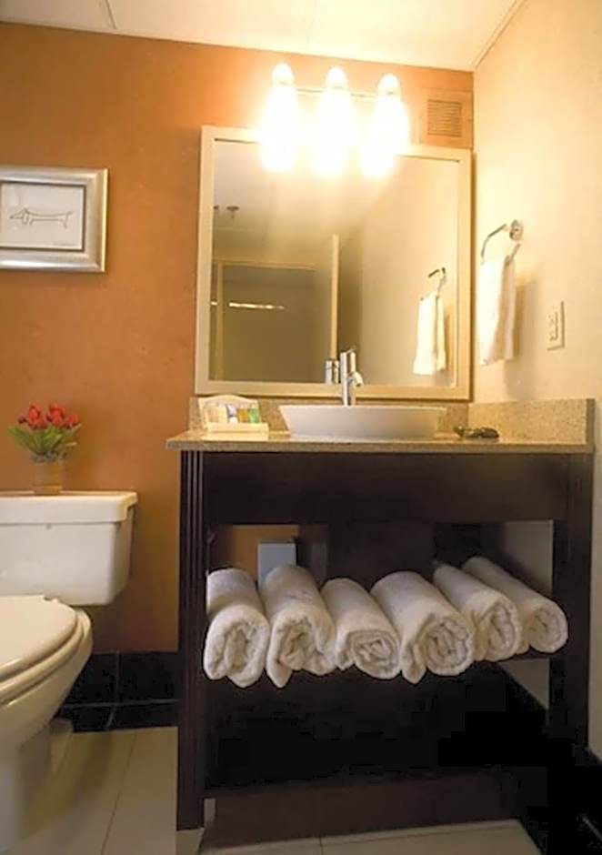 DoubleTree By Hilton Hotel Springfield