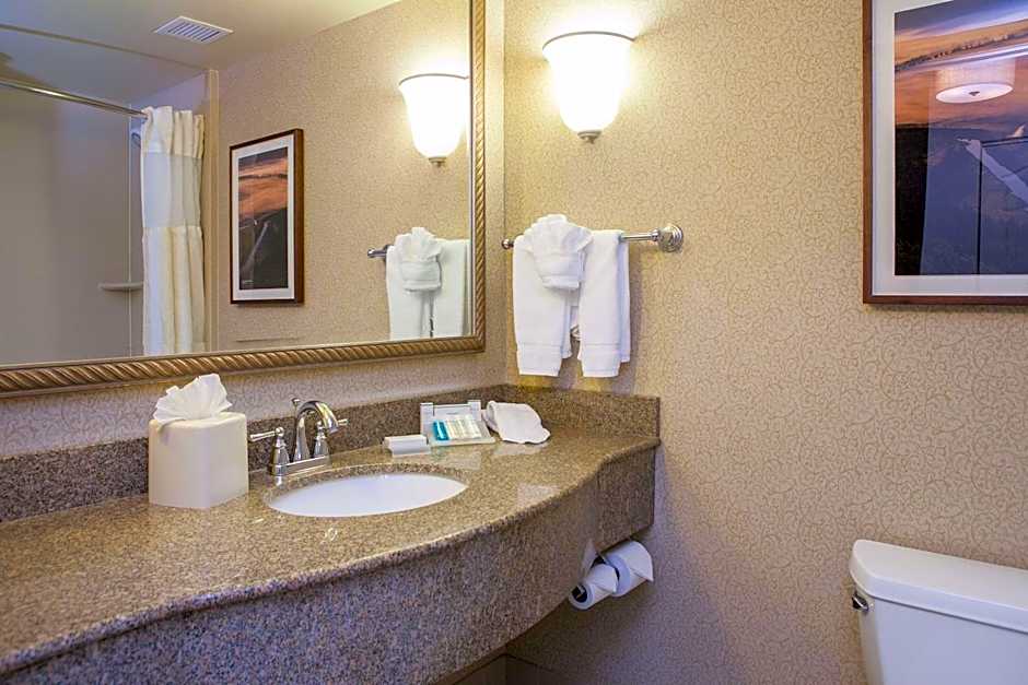 Hilton Garden Inn Boise / Eagle