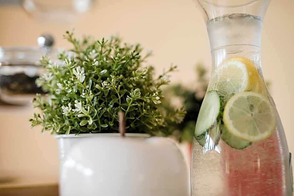 JUFA Hotel Stubenbergsee