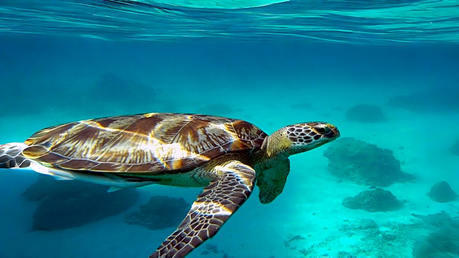 Phuket Meet Holiday Hotel