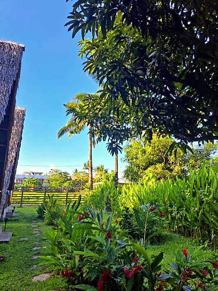 Triangle Palms Siargao
