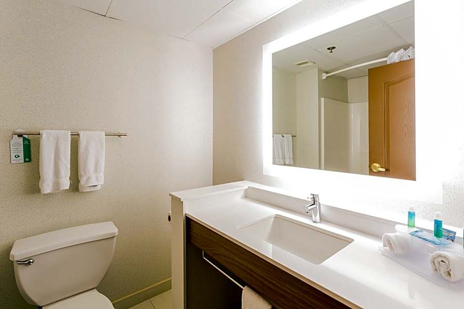 Holiday Inn Express Hotel & Suites Reading By IHG