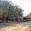 Foxy Crocodile Bush Lodge & Kruger Safaris