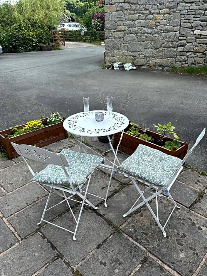 Y Felin Bed and Breakfast and Smallholding