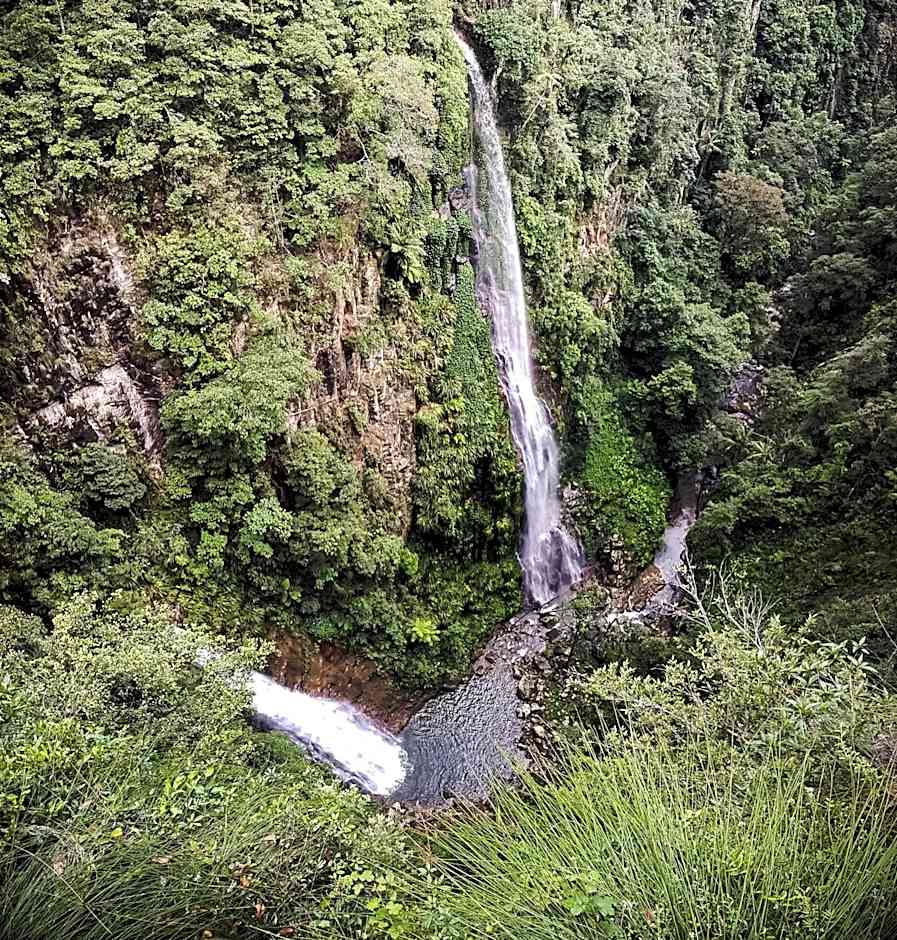 Binna Burra Sky Lodges