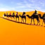 Merzouga Quiet apart &camels trecking