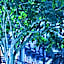 Soho Brisbane Hotel