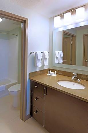 Suite, 1 Bedroom (1 Queen Bed and 1 Double Sofa Bed)