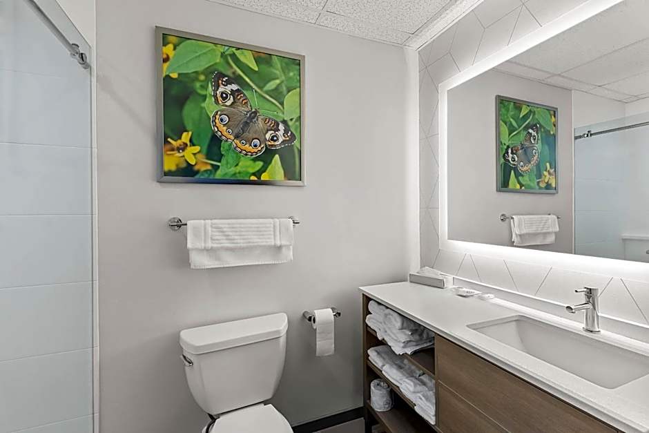 Comfort Suites Hotel and Conference Center