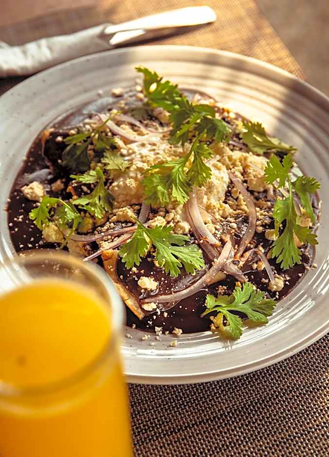 Hotel y Beach Club Casa Mia Xulha -Bacalar