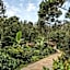 Tree of Life Shambala, Yercaud