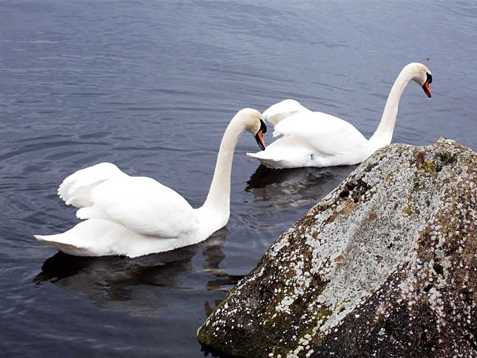 Maryville Bed and Breakfast