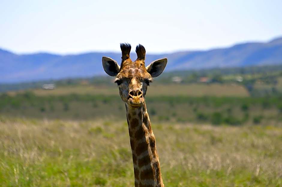 The Ranch House at African Safari Lodge