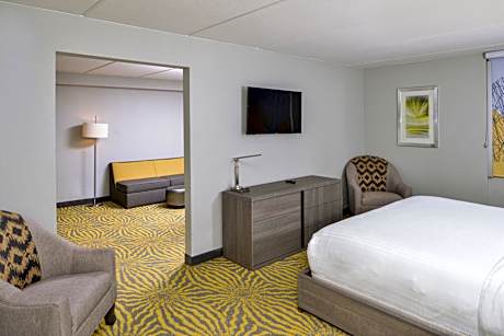 1 King Bedroom Suite