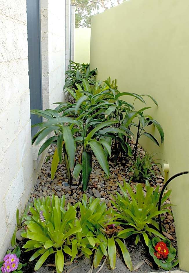 By the Beach B&B Self Contained Apartments