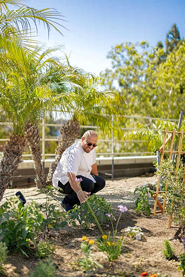 The Westin South Coast Plaza, Costa Mesa