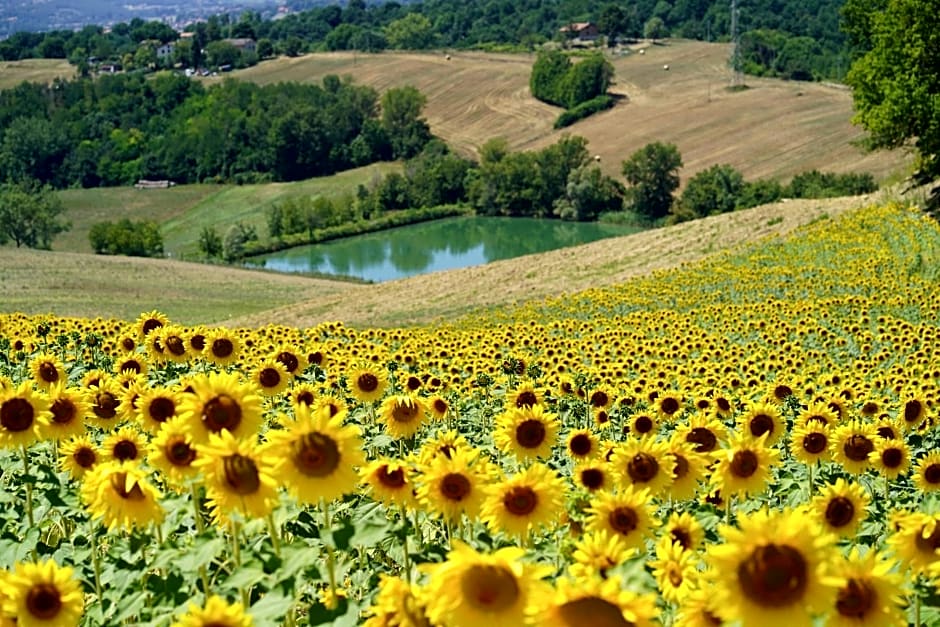 Agriturismo Il Sarale - Umbria