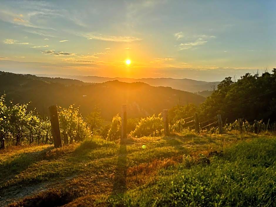 1929 Wine Food Relax Agriturismo